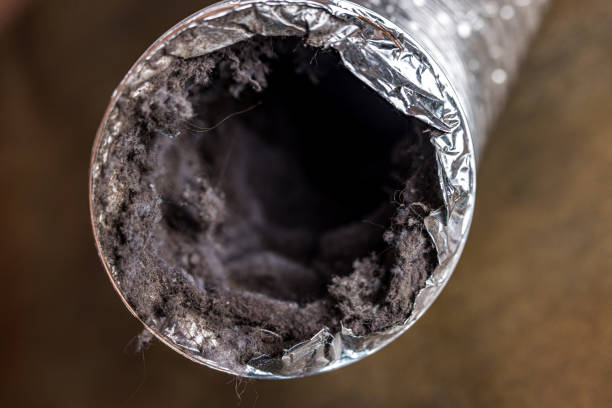 Best HVAC Duct Inspection Services  in Gregory, SD
